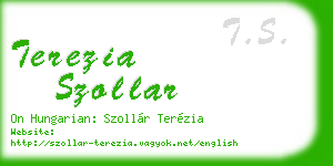 terezia szollar business card
